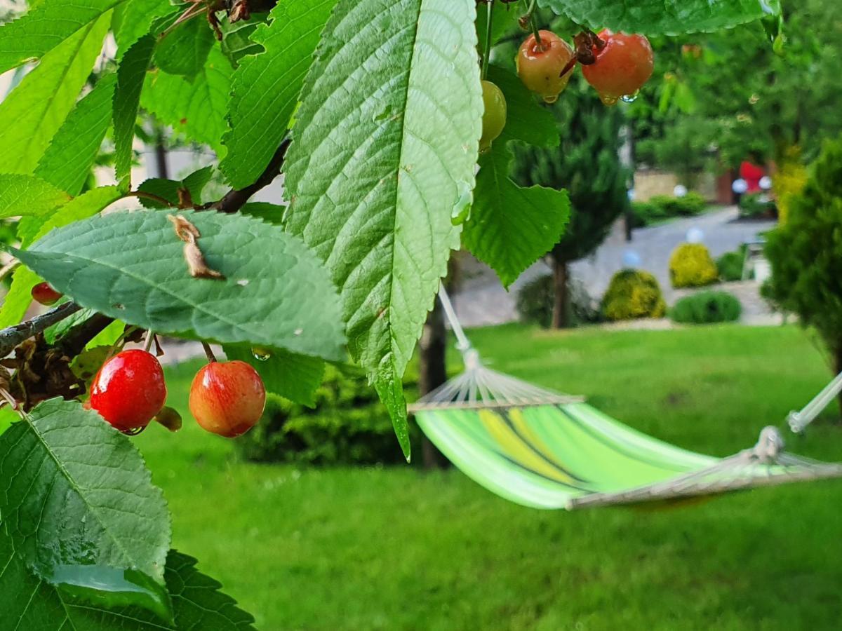 Villa Zenko Lviv Eksteriør bilde