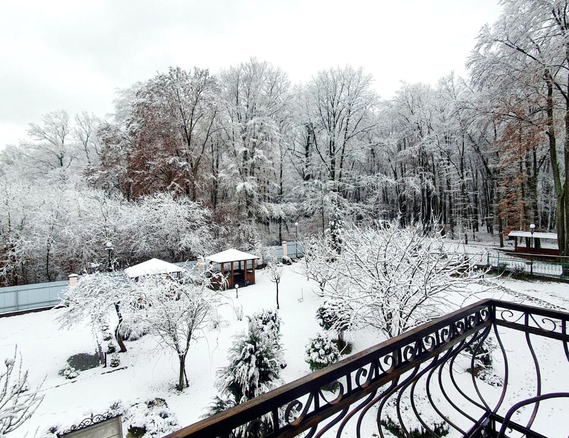 Villa Zenko Lviv Eksteriør bilde