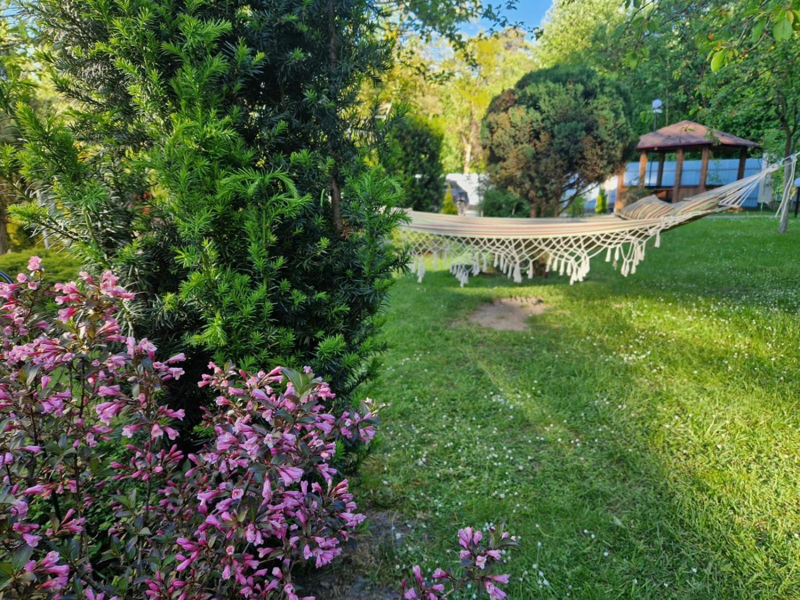 Villa Zenko Brjukhovytsji Eksteriør bilde